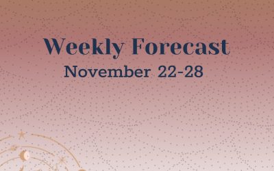 Weekly Forecast: November 22-28